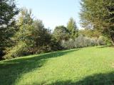 Particella, ALMENNO SAN BARTOLOMEO, 35.000 €, 6200,00 mq