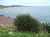 Appartamento, ISOLA DI CAPO RIZZUTO, 70.000 €, 60,00 mq