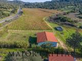 Particella, OLIENA, 449.000 €, 100000,00 mq