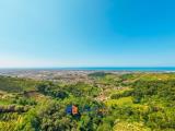 Particella, MASSA, Mirteto, 59.000 €, 2000,00 mq