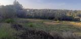 Particella, LIVORNO, Limoncino, 110.000 €, 3300,00 mq