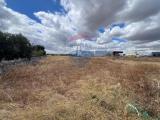Particella, MONOPOLI, 500.000 €, 5000,00 mq