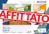 Affitto, Appartamento, MILANO, Santa Giulia, 850 €, 47,00 mq