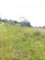Particella, CALTAGIRONE, 16.000 €, 8140,00 mq