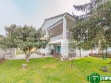 Casa, ALBUZZANO, 245.000 €, 255,00 mq
