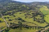 Particella, ARZACHENA, 290.000 €, 85340,00 mq