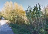 Particella, PERUGIA, Ponte San Giovanni, 10.560.000 €, 3520,00 mq