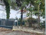 Particella, CALTAGIRONE, 500.000 €, 5500,00 mq