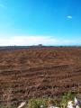 Particella, RAGUSA, 92.000 €, 56918,00 mq