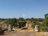 Particella, MARTINA FRANCA, 32.000 €, 12815,00 mq