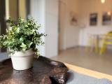 Appartamento, PRATO, Galciana, 230.000 €, 94,00 mq
