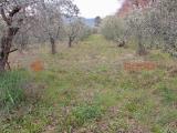 Particella, SPOLETO, 22.000 €, 6490,00 mq