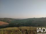 Particella, CORRIDONIA, 50.000 €, 48610,00 mq