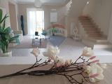 Casa, LIVORNO, Limoncino, 568.000 €, 140,00 mq