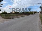 Particella, VITTORIA, 105.000 €, 11500,00 mq