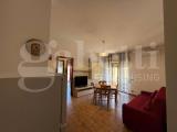 Affitto, Appartamento, NETTUNO, 450 €, 50,00 mq