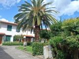 Appartamento, SESTO FIORENTINO, 329.000 €, 80,00 mq