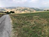 Particella, FRAGNETO MONFORTE, 30.000 €, 1800,00 mq