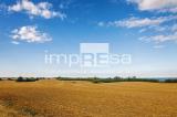 Particella, JESOLO, 70.000 €, 12654,00 mq