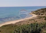 Particella, CASTELVETRANO, 130.000 €, 10460,00 mq