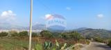 Particella, TORRETTA, 23.000 €, 7000,00 mq