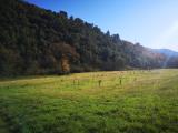 Particella, SPOLETO, 17.000 €, 12170,00 mq
