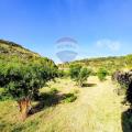 Particella, PANTELLERIA, 33.000 €, 1875,00 mq