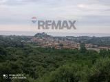 Particella, TAORMINA, 15.000 €, 3130,00 mq