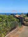 Particella, ACIREALE, 83.000 €, 4362,00 mq