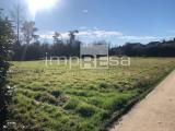 Particella, MARCON, 12.500 €, 1021,00 mq