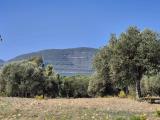 Particella, ALGHERO, 390.000 €, 48050,00 mq