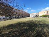 Particella, CIVITA CASTELLANA, 145.000 €, 1170,00 mq