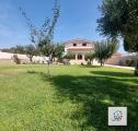 Casa, NETTUNO, 295.000 €, 150,00 mq