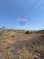 Particella, BELPASSO, 20.000 €, 4770,00 mq