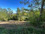 Particella, SERRAMAZZONI, 80.000 €, 1000,00 mq