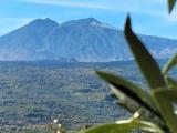 Particella, LINGUAGLOSSA, 25.000 €, 2000,00 mq