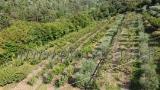 Particella, VERONA, 139.000 €, 18000,00 mq