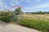 Particella, FOLIGNO, 115.000 €, 1980,00 mq