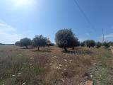 Particella, SIRACUSA, 83.000 €, 32250,00 mq
