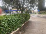 Garage, TERNI, 18.000 €, 25,00 mq