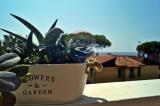 Appartamento, LIVORNO, Ardenza, 477.850 €, 110,00 mq