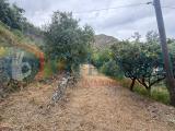 Particella, MESSINA, Santa Margherita, 90.000 €, 16800,00 mq
