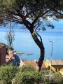 Appartamento, MONTE ARGENTARIO, 395.000 €, 135,00 mq