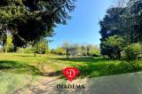 Particella, GOLASECCA, 39.000 €, 1800,00 mq