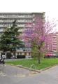 Appartamento, MILANO, zona San Siro, 209.000 €, 45,00 mq