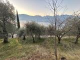 Particella, MALCESINE, 55.000 €, 720,00 mq