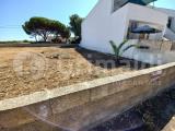 Particella, TAVIANO, 46.000 €, 360,00 mq