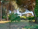 Appartamento, MARINO, 350.000 €, 260,00 mq