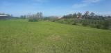 Particella, LIVORNO, Limoncino, 60.000 €, 7650,00 mq