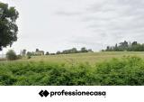 Particella, OSIMO, 150.000 €, 380,00 mq